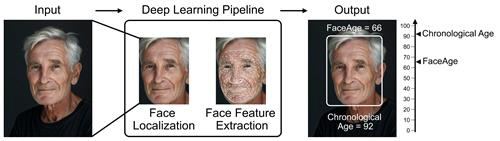 얼굴 사진으로 생물학적 나이 추정-암 예후 예측하는 AI '페이스에이지'  Mass General Brigham 제공.